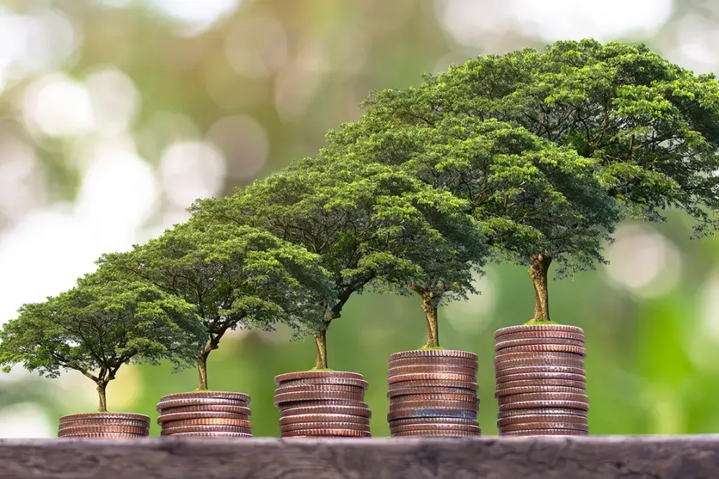 FINANCIRANJE TRAJNOSTI &ndash; Z RAZVITIMI KAPITALSKIMI TRGI DO MOČNEGA REGIONALNEGA GOSPODARSTVA