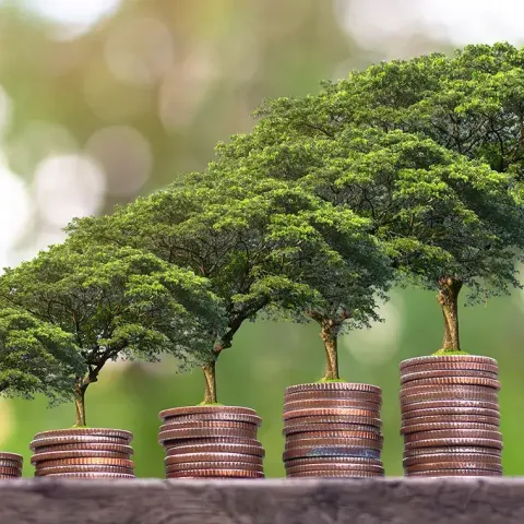 INVESTIRANJE V TRAJNOSTNI RAZVOJ IN FINANCIRANJE ODGOVORNEGA LASTNI&Scaron;TVA