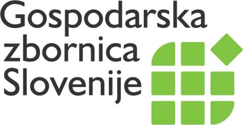 RAZVOJNA NALOŽBA DRUŽBE IN GOSPODARSTVA